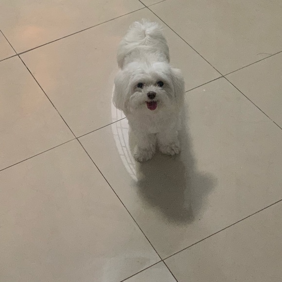 Meet your Posher, Liliya - Picture 1 of 1